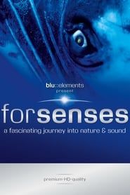 Forsenses - A Fascinating Journey into Nature & Sound series tv