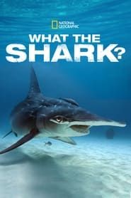 What the Shark? series tv
