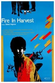 Image Fire in the Harvest