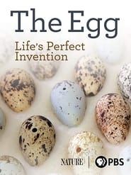 Image The Egg: Life’s Perfect Invention 2019