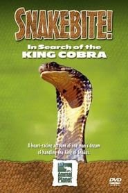 Image Snake Bite: In Search of the King Cobra