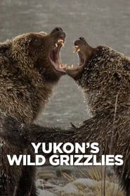 Image Yukon's Wild Grizzlies
