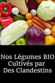 Image Nos Légumes BIO Cultivés par  Des Clandestins