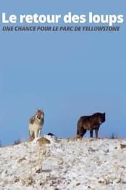 Image Le retour des loups : une chance pour le Parc de Yellowstone