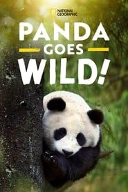 Image Panda Goes Wild