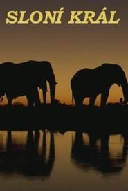 Image Arena der Elefanten