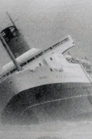 Image The Wahine Disaster