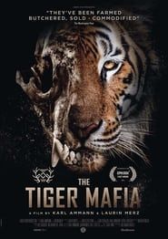The Tiger Mafia series tv