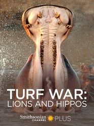 Image Turf War: Lions and Hippos