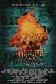 Asli Punjab series tv