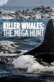 Killer Whales: the Mega Hunt series tv
