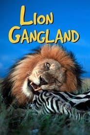 Image Lion Gangland