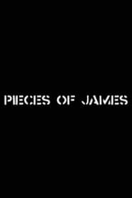 Image Pieces of James: An Enquiry Into the Art and Life of James Manning