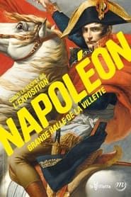 Dans les secrets de l'exposition Napoléon series tv