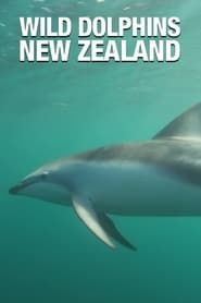 Wild Dolphins series tv