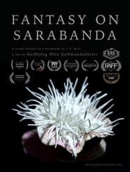Image Fantasy on Sarabanda 2016