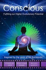 Image Conscious: Fulfilling Our Higher Evolutionary Potential
