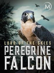Peregrine Falcon: Lord of the Skies series tv