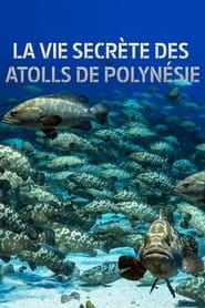 Image La vie secrète des atolls de Polynésie