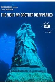 The Night My Brother Disappeared series tv