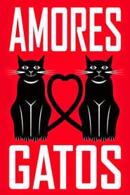 Amores Gatos series tv
