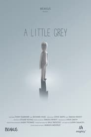 A Little Grey ()