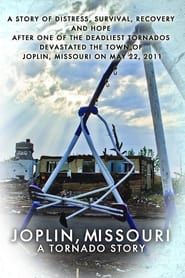 Witness: Joplin Tornado series tv