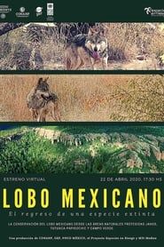 Affiche de Lobo Mexicano