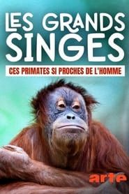 Les grands singes: Ces primates si proches de l'homme (2021)