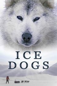 Ice Dogs: The Only Companions Worth Having-hd