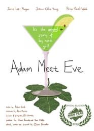 Adam Meet Eve series tv