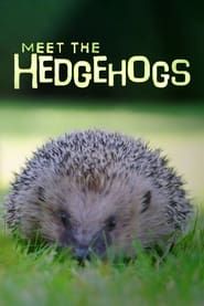 Image Meet the Hedgehogs