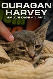 Surviving Harvey: Animals After the Storm 2017 streaming