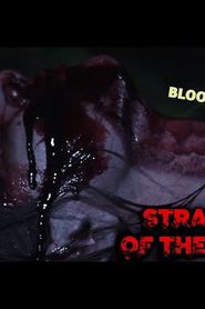 watch Strange Night of The Living Dead