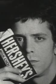 Image Screen Test [ST270]: Lou Reed (Hershey)