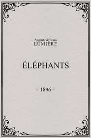 Image Elephants 1896