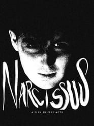 Narcissus-hd