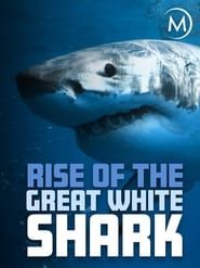 Image Rise Of The Great White Shark