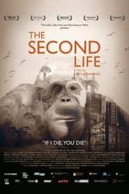 The Second Life series tv