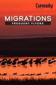 Image Migrations: Frequent Flyers