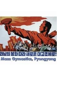 Image Mass Gymnastics, 60th Birthday of Kim Jong Il