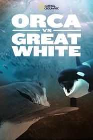 Orca Vs. Great White (2021)