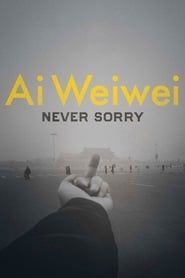 Affiche de Ai Weiwei: Never Sorry