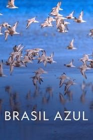 Brasil Azul (2022)