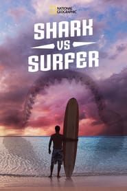 Image Requin vs Surfeur