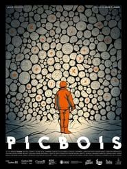 watch Picbois