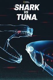 Image Shark vs. Tuna 2018