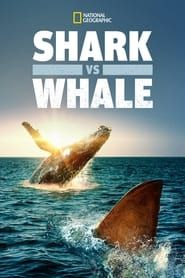 Shark Vs. Whale series tv