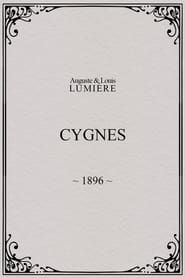 Image Cygnes