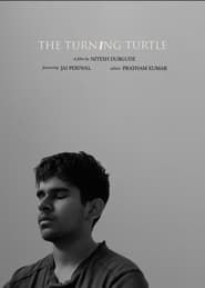 The Turning Turtle series tv
